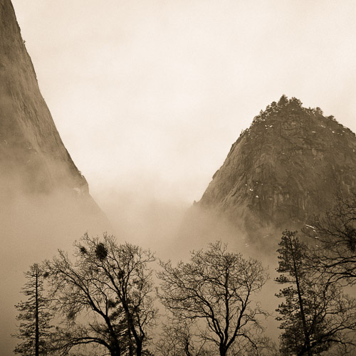 Yosemite Fog