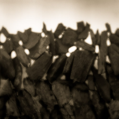 Burren fence study, Co. Clare